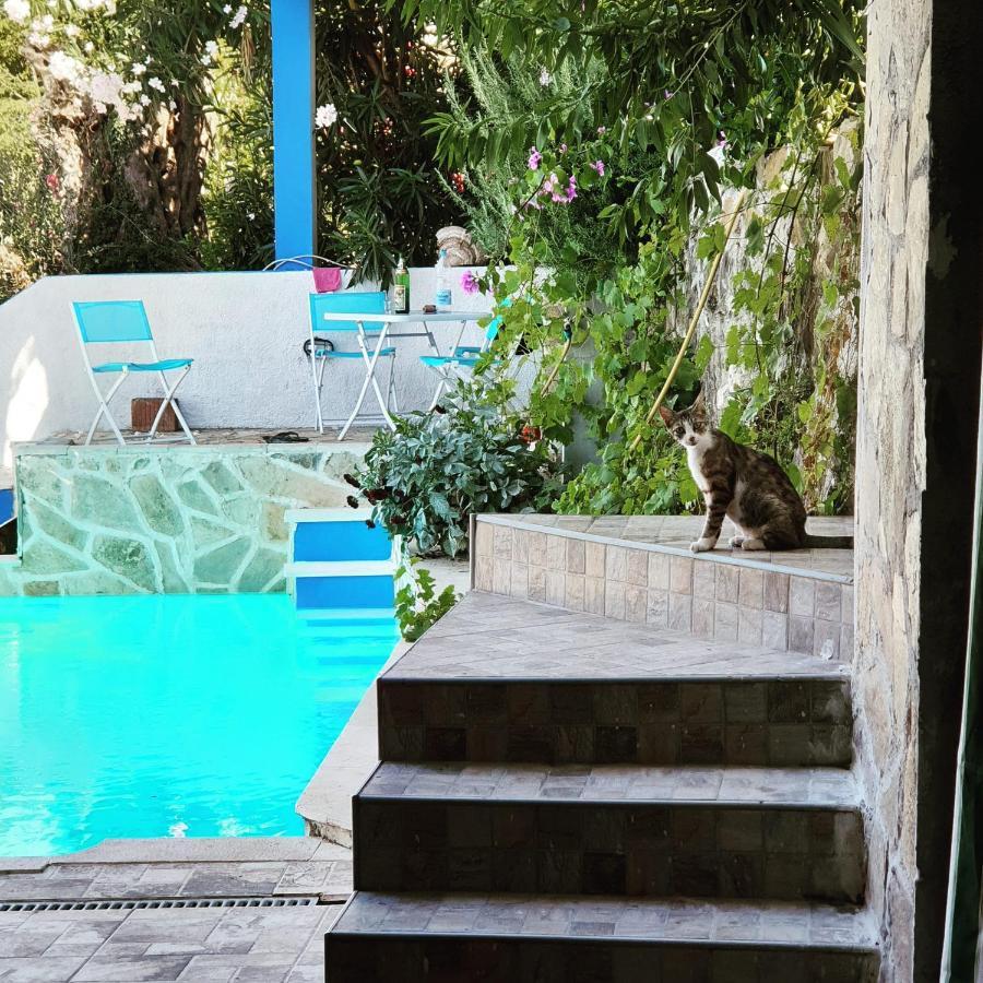 Apartment Bradex Dreams Becici  Bagian luar foto